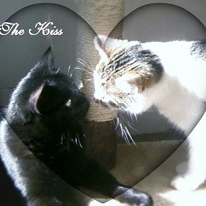 THE KISS with heart.jpg
