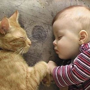 Cat & Baby sleeping.jpg