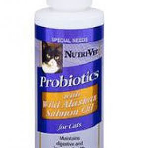 probiotics.jpg
