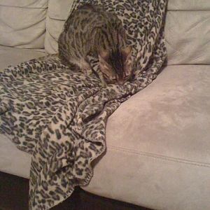 Clarise and her favorite blanket.jpg