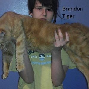Brandon2.jpg