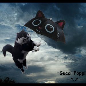 Gucci Poppins.jpg