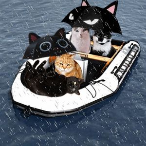 cats in rain.jpg