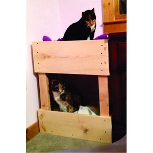 Milly & Scooter - bunk bed.jpg