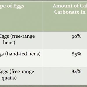 Quail Egg Calcium vs Egg White and Brown.JPG