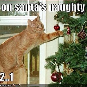 Christmas naught list.jpg