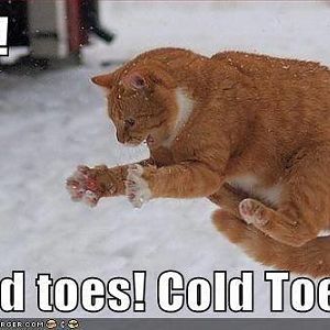Cold - cold toes.jpg