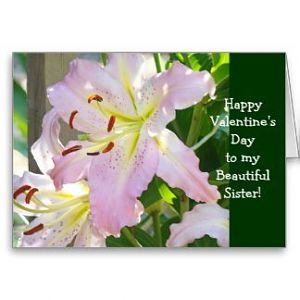 sister_sisters_happy_valentines_day_card_pink-r251