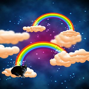 RainbowLynxx.jpg