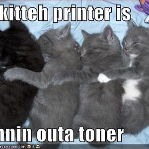 kitten-printer.jpg