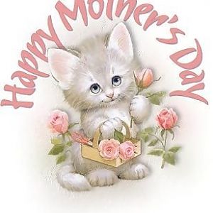 Cute-cat-wishes-you-happy-mothers-day.jpg