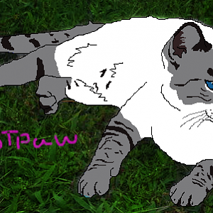 frostpaw2.png