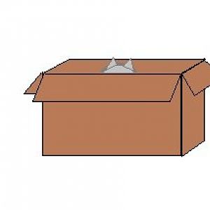 cat box.jpg