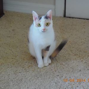 Tina - we had her for about a week 2015 until her