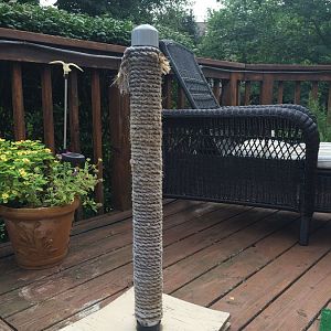 Weathered scratching post.JPG