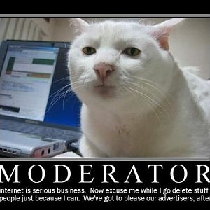 Moderator cat.jpg