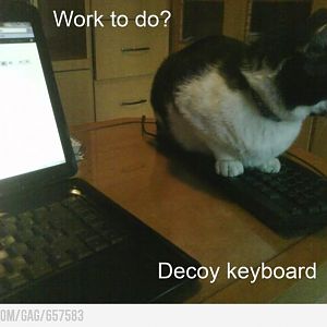 decoy keyboard.jpg