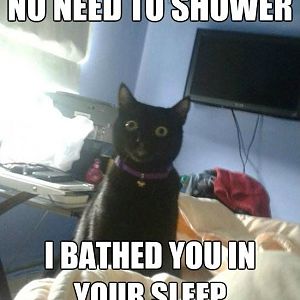 overly-attached-cat_zpsdffc8c06.jpeg