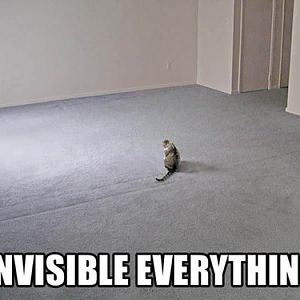 invisible-everything.jpg