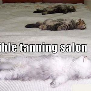 Invisible tanning salon.jpg