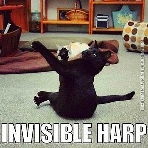 invisible-harp.jpg