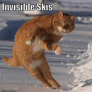 invisible skis.png
