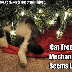 Cat Tree Mechanic.jpg