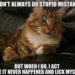 funny-licking-cat-memes.jpg