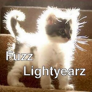funny-cat-meme-fuzz-lightyear.jpg