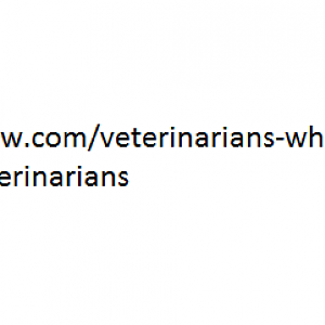 vets who do not declaw link URL.png