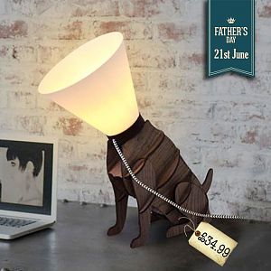 dog-cone-lamp.jpg