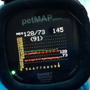 Doda Furlan-Blood pressure heart rate 145, Systoli