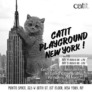 Catit Playground New York.jpeg