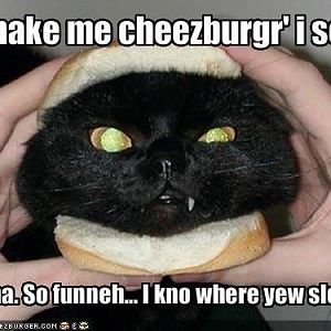 Make me cheezburger.jpg