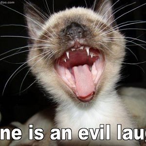 Evil Laugh.jpg