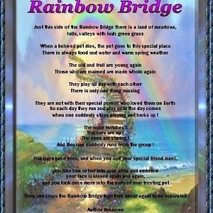 Rainbowbridge_story.jpg