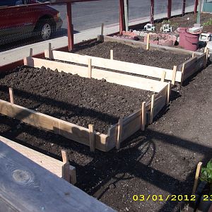 030312 002 waiting for mulch & compost.JPG