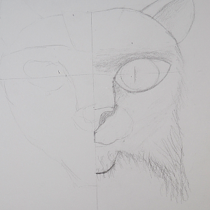 po2g_tigris_face_pencil_1st_shading_attempt.png