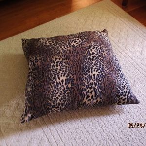 Cat pillow 2.JPG