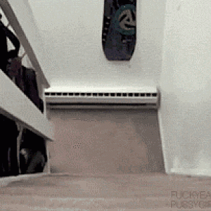 Endless Stairs Cat.gif