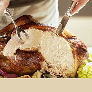 safely-feeding-turkey-to-ca.jpg