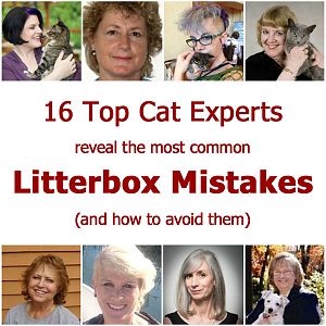 litterbox-mistakes-pinteres.jpg