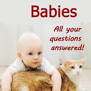 cats-and-babies.jpg