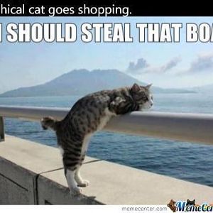 unethical-cat-goes-shopping_o_2009199.jpg