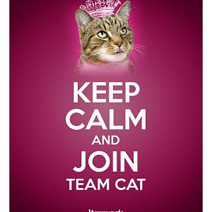 Keep+Calm+and+Join+Team+Cat.jpg