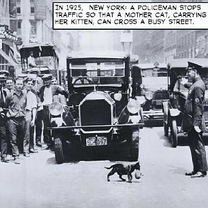 in-1925-new-york-a-policeman-stops-traffic-so-that
