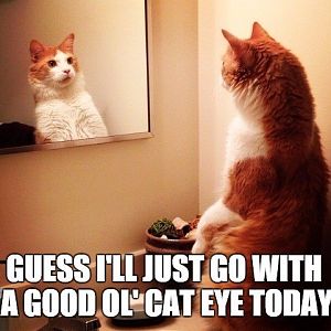 Funny-cat-looking-in-mirror-meme.jpg
