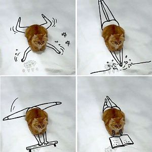 kitty swimming.jpg