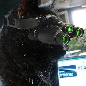 Kittys-Night-Vision-Goggles.jpg