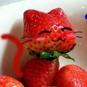 strawberry-cat.jpg